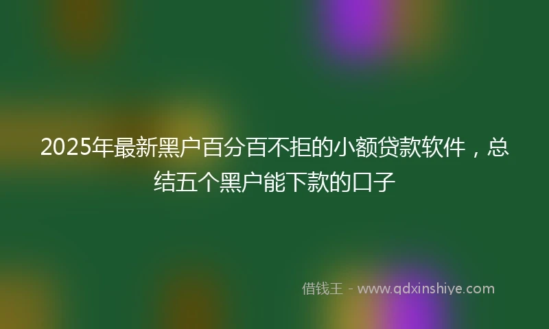 2025年最新黑户百分百不拒的小额贷款软件，总结五个黑户能下款的口子