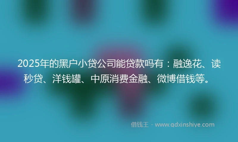 2025年的黑户小贷公司能贷款吗有：融逸花、读秒贷、洋钱罐、中原消费金融、微博借钱等。