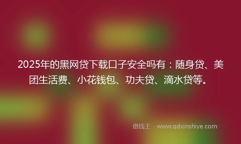 2025年的黑网贷下载口子安全吗有:随身贷、美团生活费、小花钱包、功夫贷、滴水贷等。