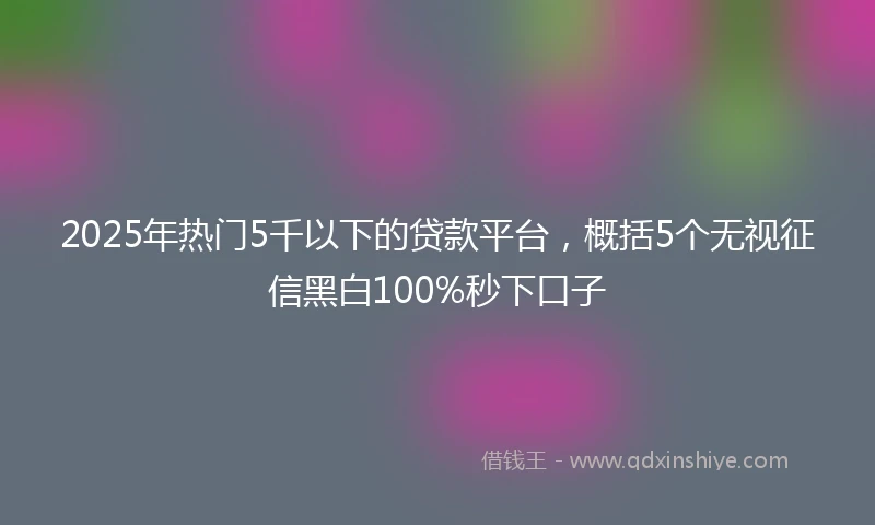 2025年热门5千以下的贷款平台，概括5个无视征信黑白100%秒下口子
