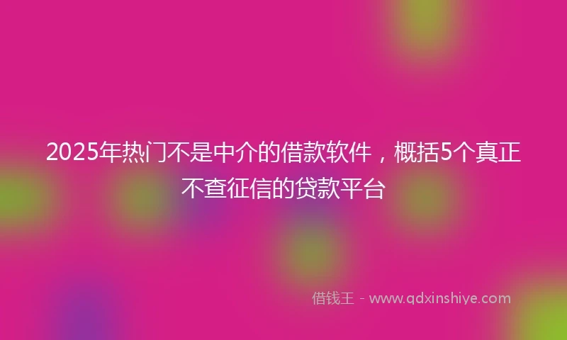 2025年热门不是中介的借款软件，概括5个真正不查征信的贷款平台