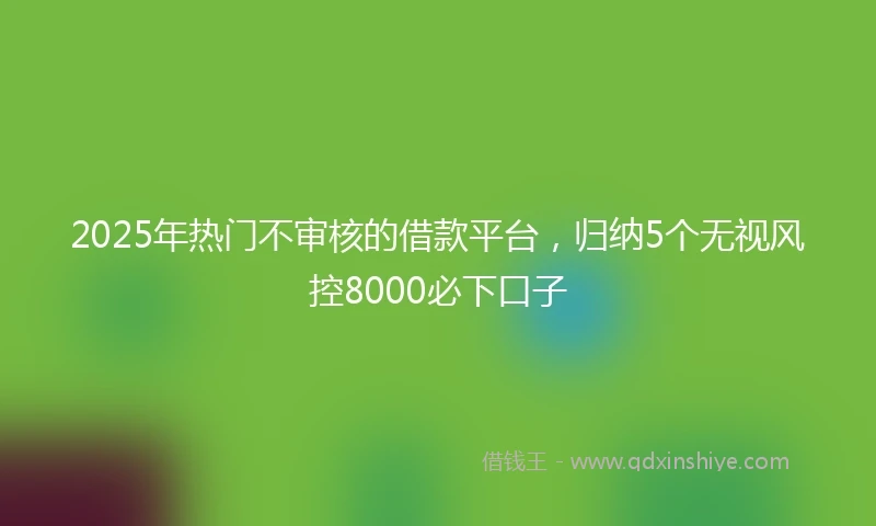 2025年热门不审核的借款平台，归纳5个无视风控8000必下口子