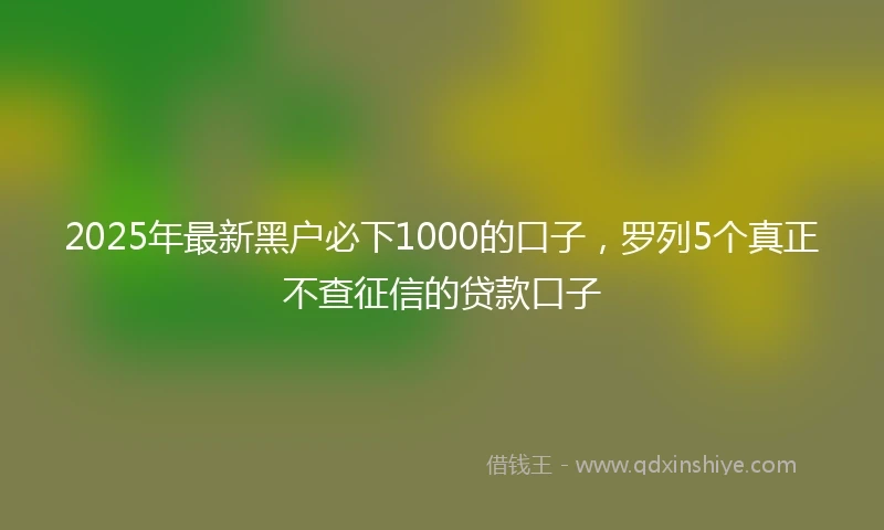 2025年最新黑户必下1000的口子，罗列5个真正不查征信的贷款口子