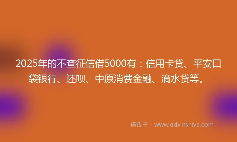 2025年的不查征信借5000有：信用卡贷、平安口袋银行、还呗、中原消费金融、滴水贷等。