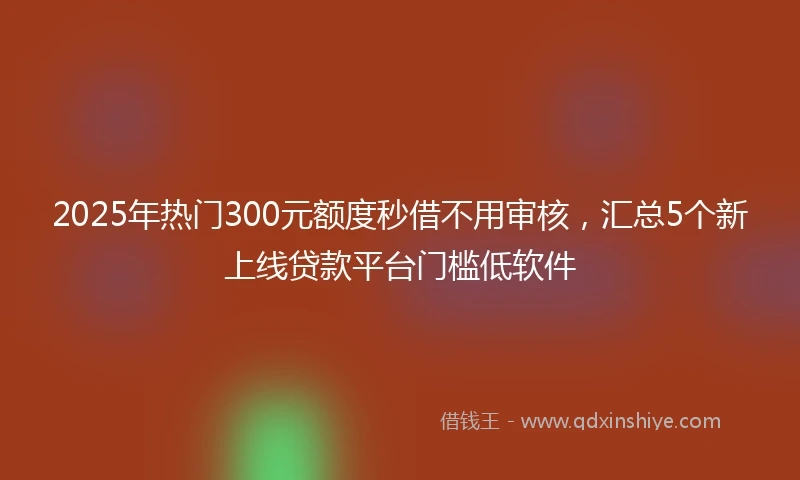 2025年热门300元额度秒借不用审核，汇总5个新上线贷款平台门槛低软件