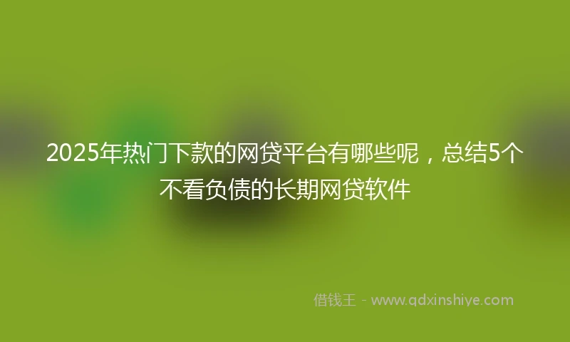 2025年热门下款的网贷平台有哪些呢,总结5个不看负债的长期网贷软件
