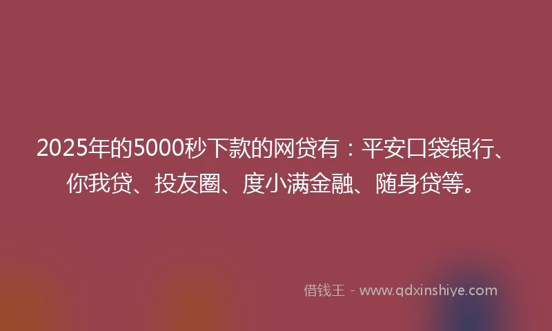 2025年的5000秒下款的网贷有：平安口袋银行、你我贷、投友圈、度小满金融、随身贷等。