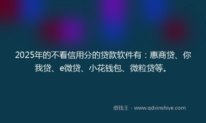 2025年的不看信用分的贷款软件有：惠商贷、你我贷、e微贷、小花钱包、微粒贷等。