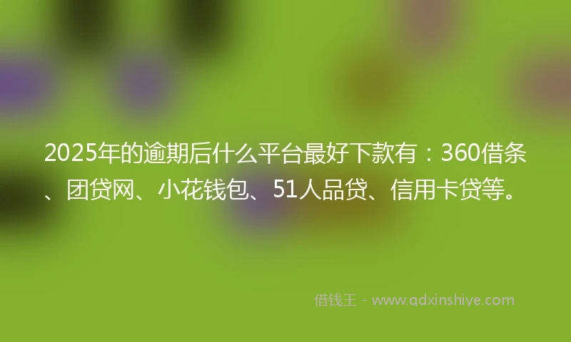 2025年的逾期后什么平台最好下款有：360借条、团贷网、小花钱包、51人品贷、信用卡贷等。
