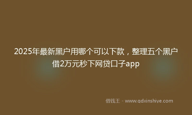 2025年最新黑户用哪个可以下款，整理五个黑户借2万元秒下网贷口子app