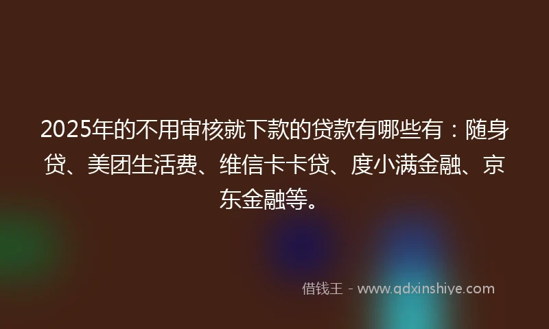 2025年的不用审核就下款的贷款有哪些有：随身贷、美团生活费、维信卡卡贷、度小满金融、京东金融等。