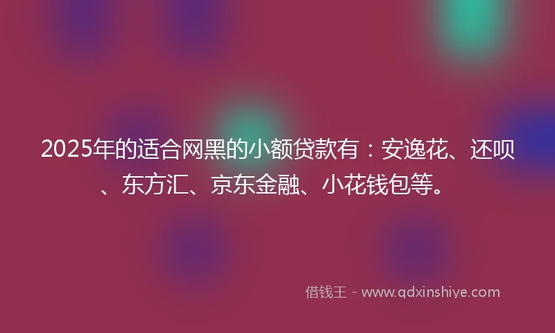 2025年的适合网黑的小额贷款有：安逸花、还呗、东方汇、京东金融、小花钱包等。