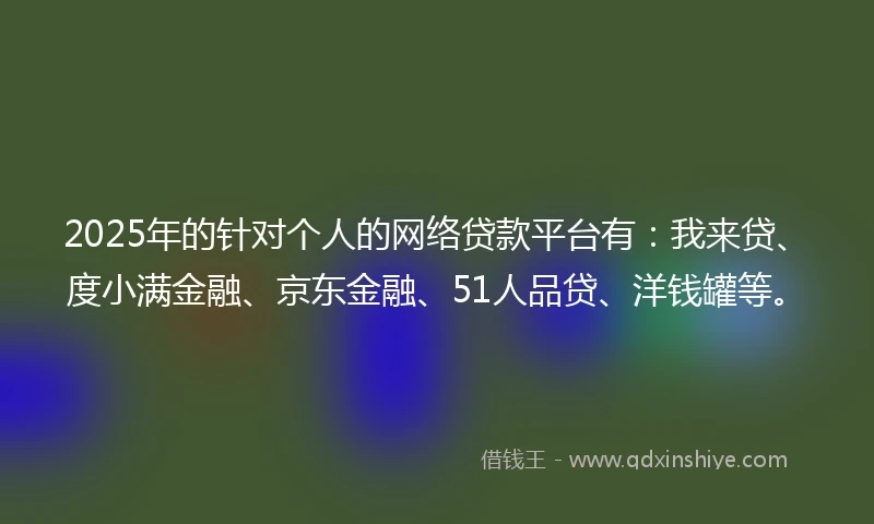 2025年的针对个人的网络贷款平台有：我来贷、度小满金融、京东金融、51人品贷、洋钱罐等。