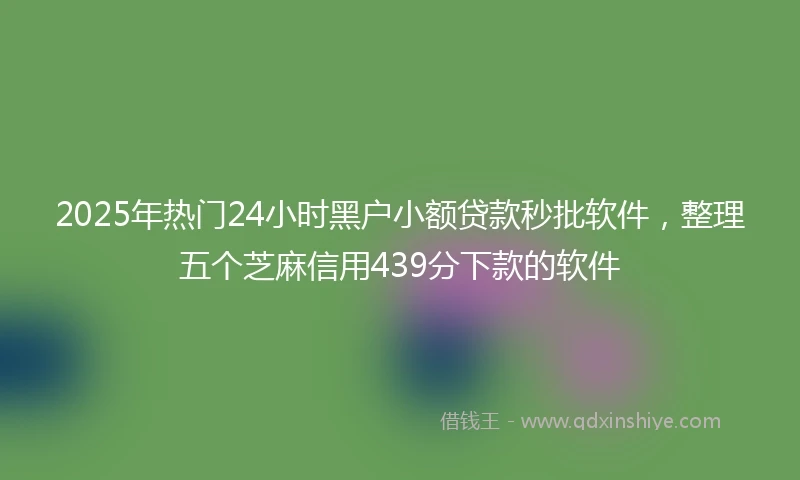 2025年热门24小时黑户小额贷款秒批软件,整理五个芝麻信用439分下款的软件