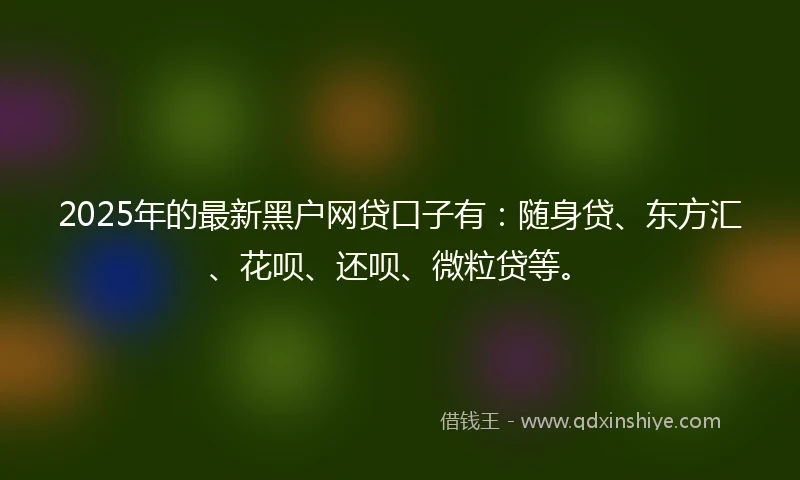 2025年的最新黑户网贷口子有：随身贷、东方汇、花呗、还呗、微粒贷等。
