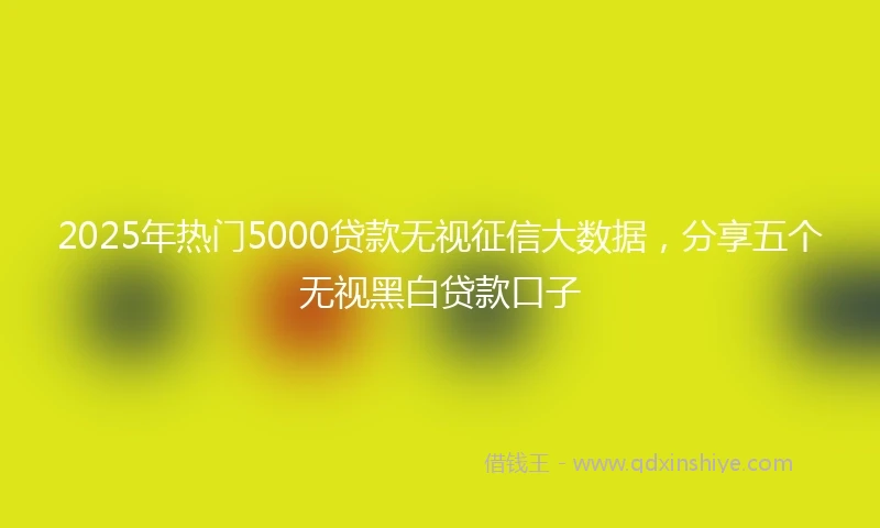 2025年热门5000贷款无视征信大数据，分享五个无视黑白贷款口子