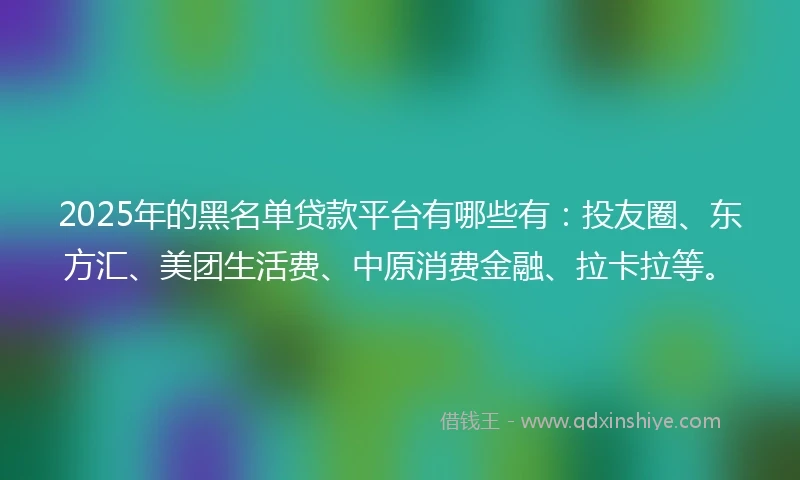 2025年的黑名单贷款平台有哪些有：投友圈、东方汇、美团生活费、中原消费金融、拉卡拉等。