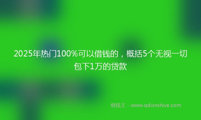 2025年热门100%可以借钱的，概括5个无视一切包下1万的贷款