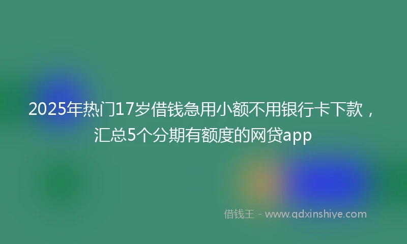 2025年热门17岁借钱急用小额不用银行卡下款，汇总5个分期有额度的网贷app