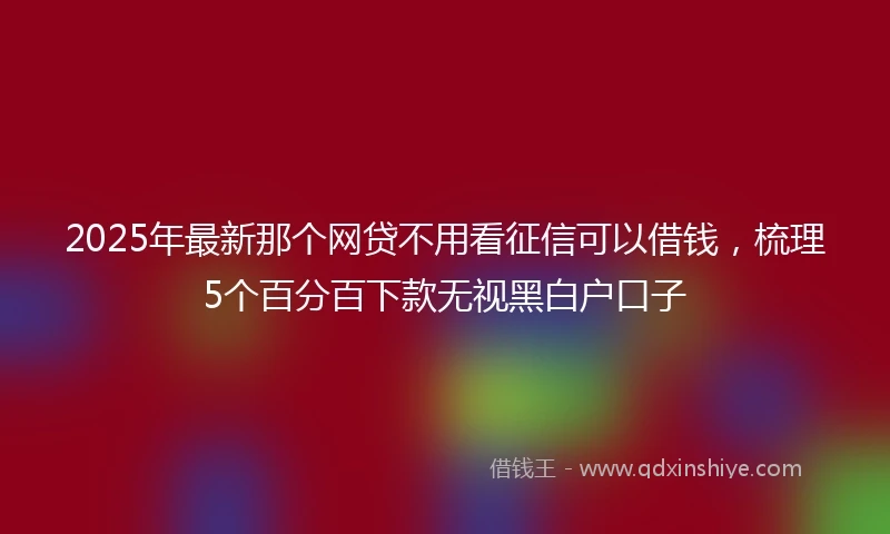 2025年最新那个网贷不用看征信可以借钱,梳理5个百分百下款无视黑白户口子