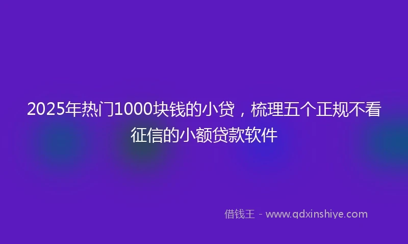 2025年热门1000块钱的小贷，梳理五个正规不看征信的小额贷款软件