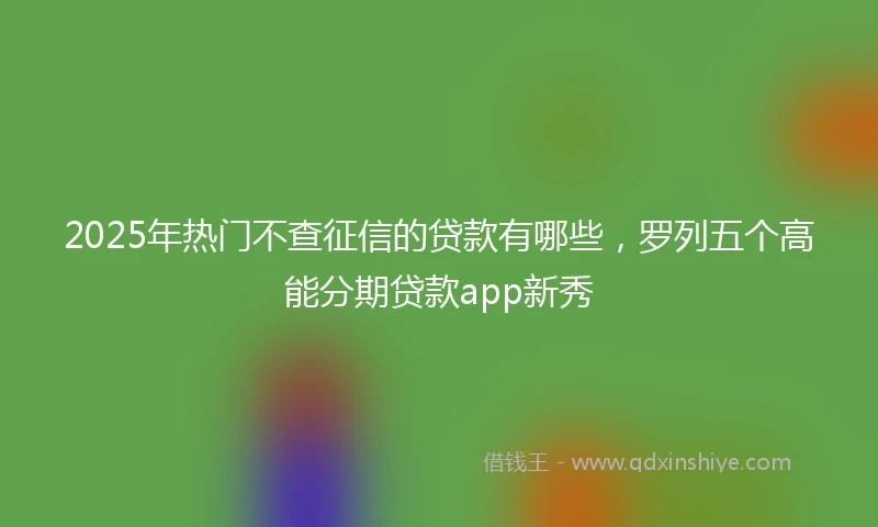 2025年热门不查征信的贷款有哪些,罗列五个高能分期贷款app新秀
