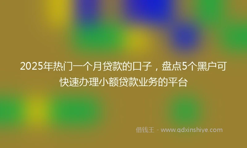 2025年热门一个月贷款的口子，盘点5个黑户可快速办理小额贷款业务的平台