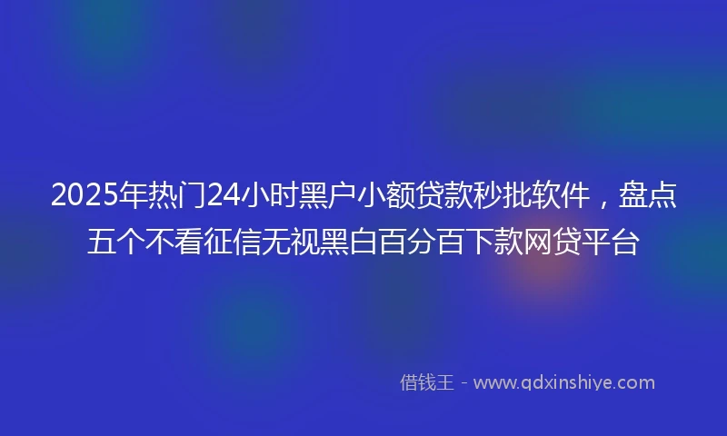 2025年热门24小时黑户小额贷款秒批软件，盘点五个不看征信无视黑白百分百下款网贷平台