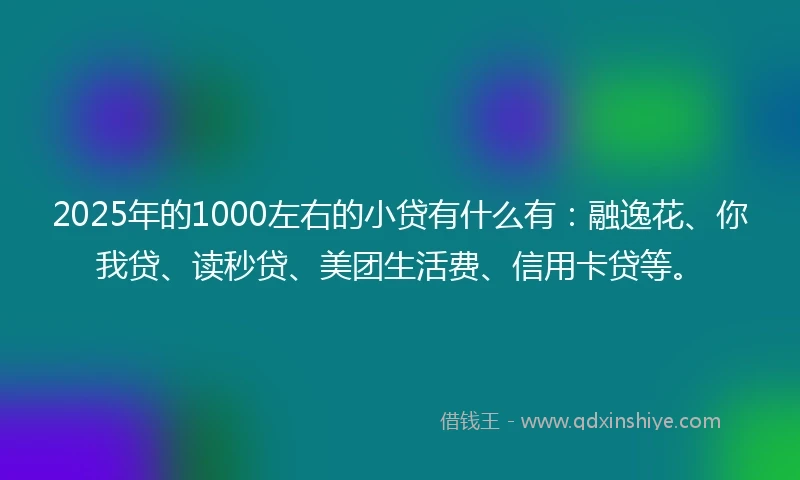 2025年的1000左右的小贷有什么有：融逸花、你我贷、读秒贷、美团生活费、信用卡贷等。