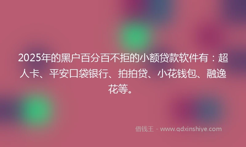 2025年的黑户百分百不拒的小额贷款软件有：超人卡、平安口袋银行、拍拍贷、小花钱包、融逸花等。
