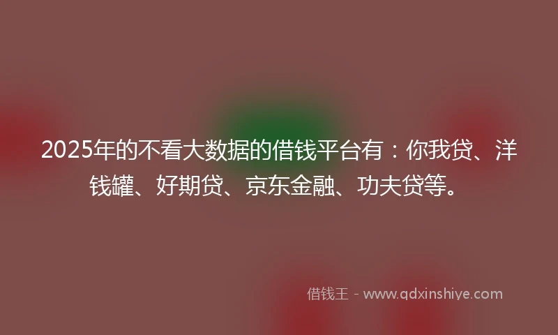2025年的不看大数据的借钱平台有：你我贷、洋钱罐、好期贷、京东金融、功夫贷等。