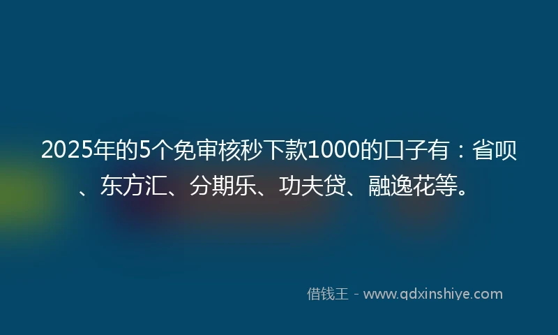2025年的5个免审核秒下款1000的口子有：省呗、东方汇、分期乐、功夫贷、融逸花等。