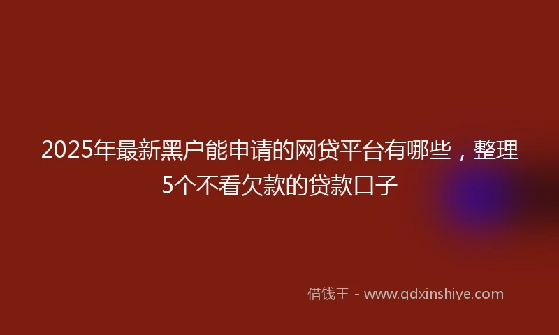 2025年最新黑户能申请的网贷平台有哪些，整理5个不看欠款的贷款口子