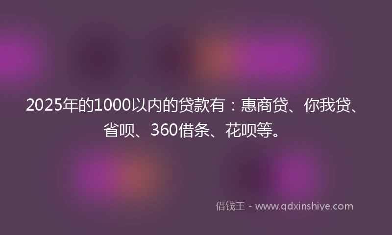 2025年的1000以内的贷款有：惠商贷、你我贷、省呗、360借条、花呗等。