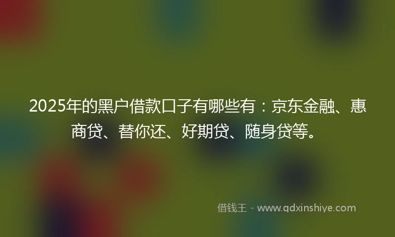 2025年的黑户借款口子有哪些有：京东金融、惠商贷、替你还、好期贷、随身贷等。