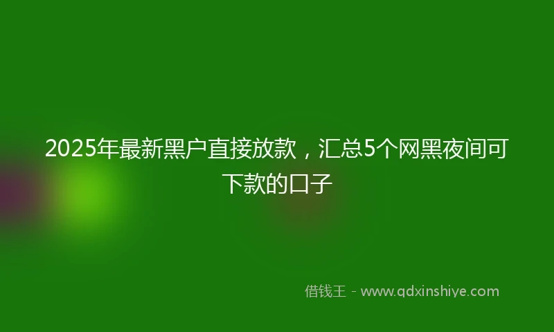 2025年最新黑户直接放款，汇总5个网黑夜间可下款的口子