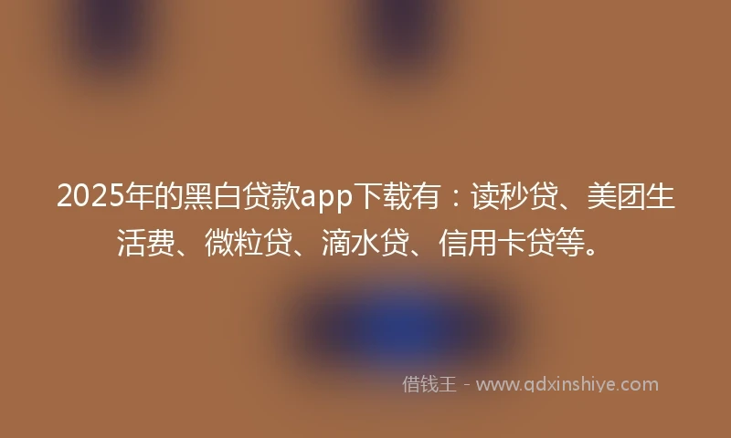 2025年的黑白贷款app下载有：读秒贷、美团生活费、微粒贷、滴水贷、信用卡贷等。