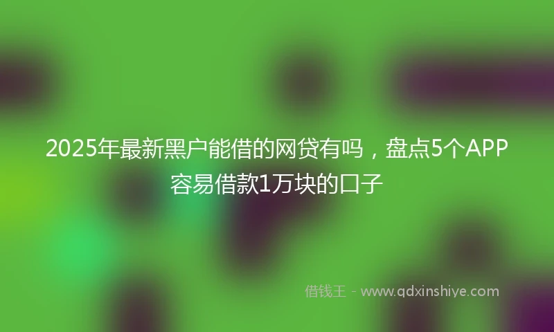 2025年最新黑户能借的网贷有吗，盘点5个APP容易借款1万块的口子