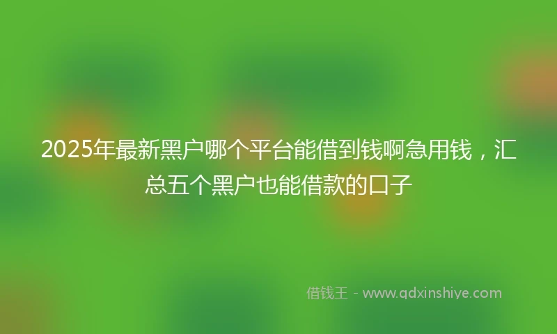 2025年最新黑户哪个平台能借到钱啊急用钱,汇总五个黑户也能借款的口子