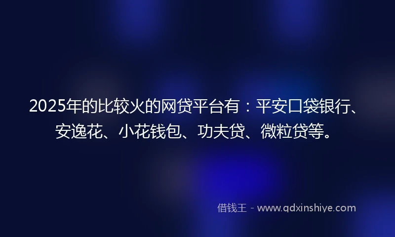 2025年的比较火的网贷平台有：平安口袋银行、安逸花、小花钱包、功夫贷、微粒贷等。