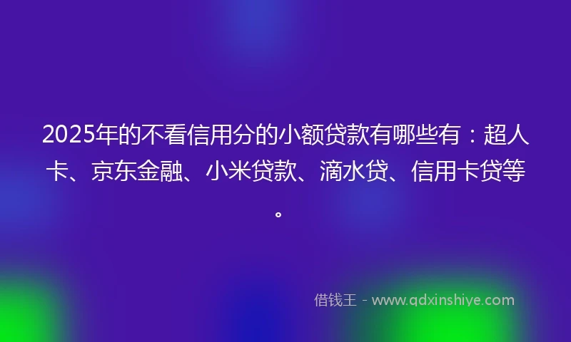 2025年的不看信用分的小额贷款有哪些有：超人卡、京东金融、小米贷款、滴水贷、信用卡贷等。