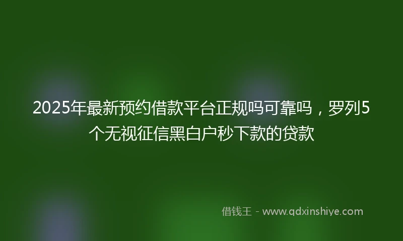 2025年最新预约借款平台正规吗可靠吗，罗列5个无视征信黑白户秒下款的贷款