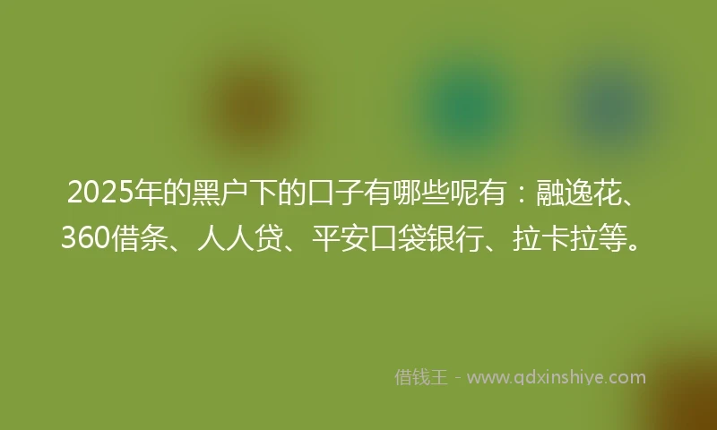 2025年的黑户下的口子有哪些呢有：融逸花、360借条、人人贷、平安口袋银行、拉卡拉等。