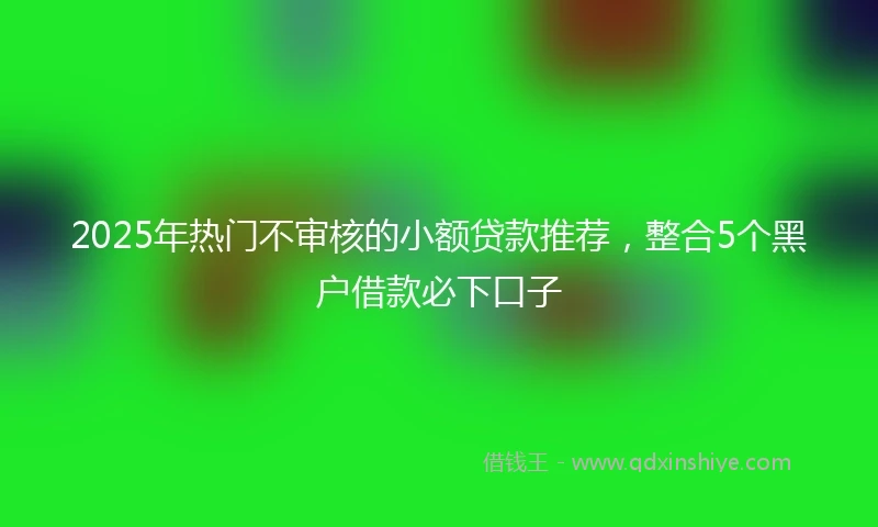 2025年热门不审核的小额贷款推荐，整合5个黑户借款必下口子