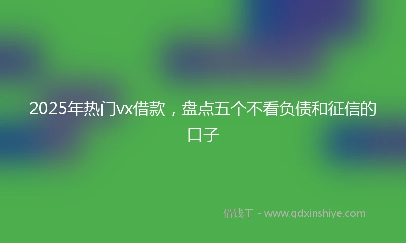 2025年热门vx借款,盘点五个不看负债和征信的口子