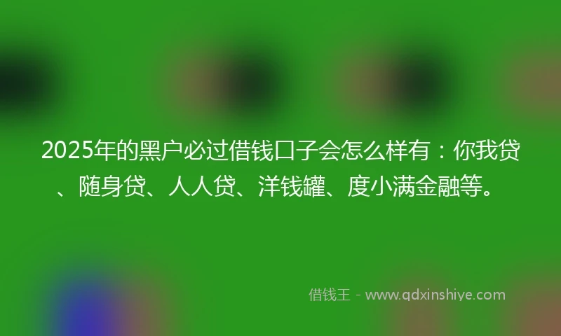 2025年的黑户必过借钱口子会怎么样有：你我贷、随身贷、人人贷、洋钱罐、度小满金融等。