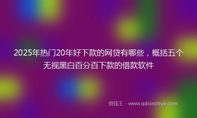 2025年热门20年好下款的网贷有哪些，概括五个无视黑白百分百下款的借款软件