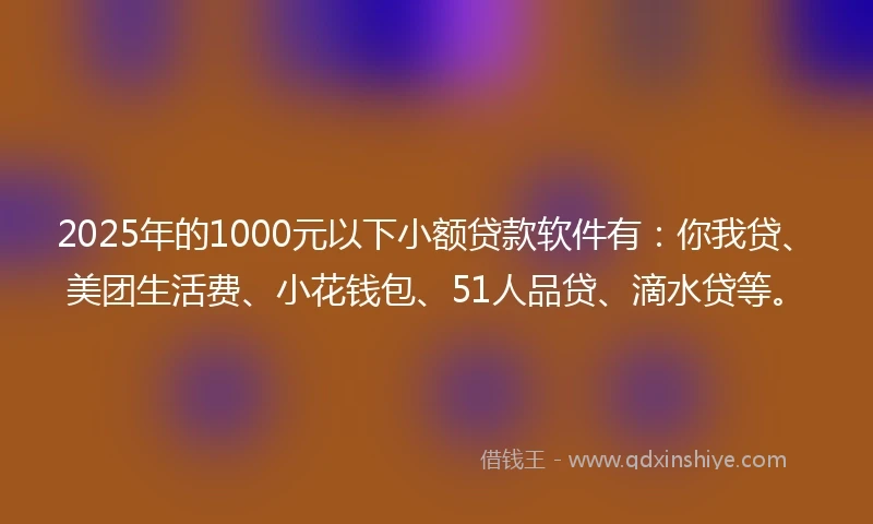 2025年的1000元以下小额贷款软件有：你我贷、美团生活费、小花钱包、51人品贷、滴水贷等。