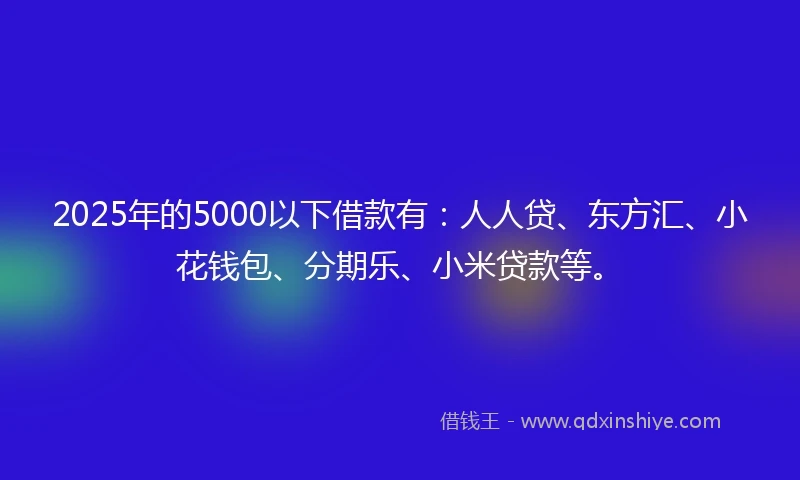 2025年的5000以下借款有：人人贷、东方汇、小花钱包、分期乐、小米贷款等。
