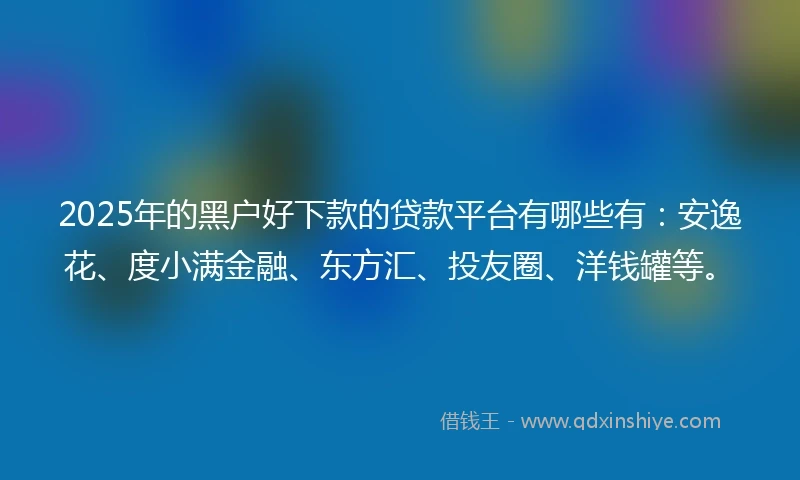2025年的黑户好下款的贷款平台有哪些有：安逸花、度小满金融、东方汇、投友圈、洋钱罐等。
